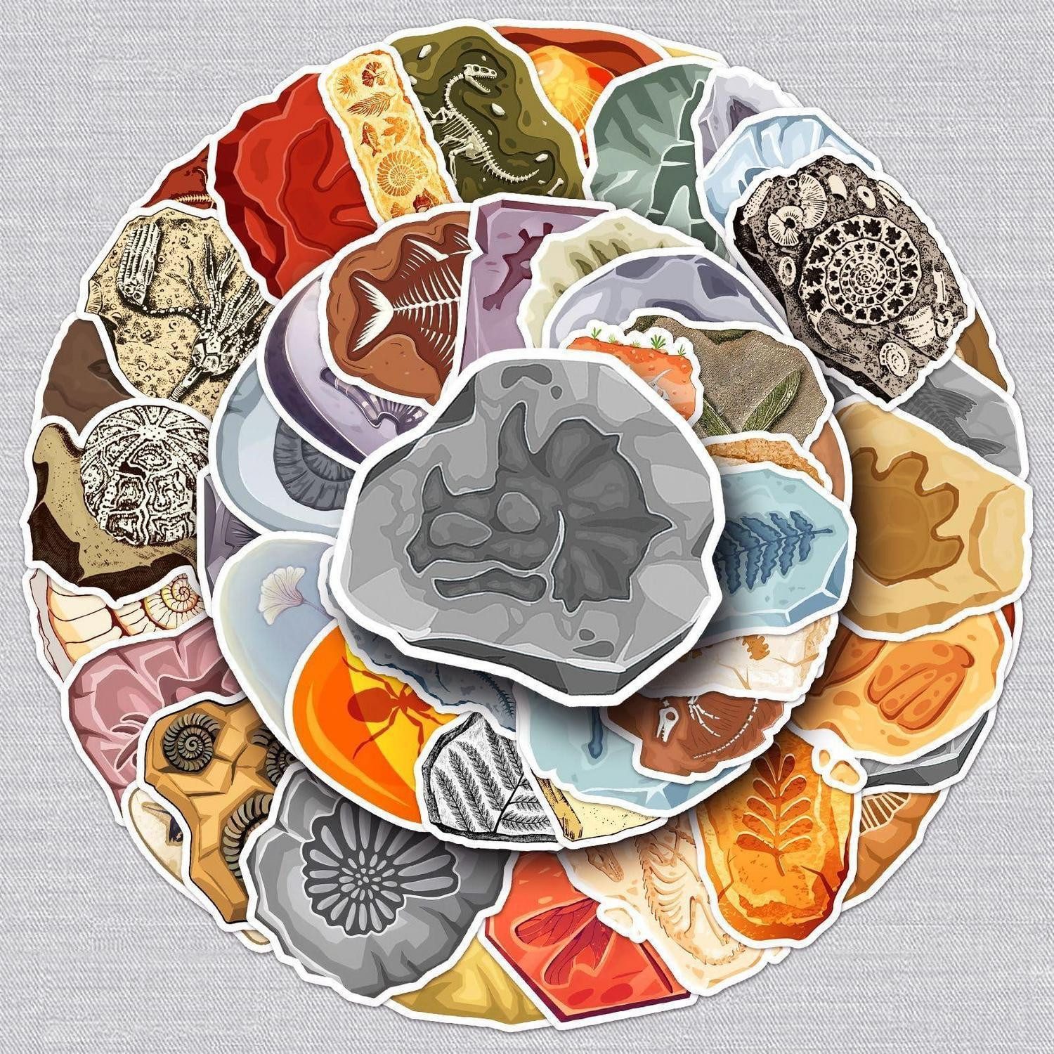 LuxusKollektion Aufkleber Aufkleber Dinosaurier Fossilien Set 50 Stück Auto Kinder Multicolor