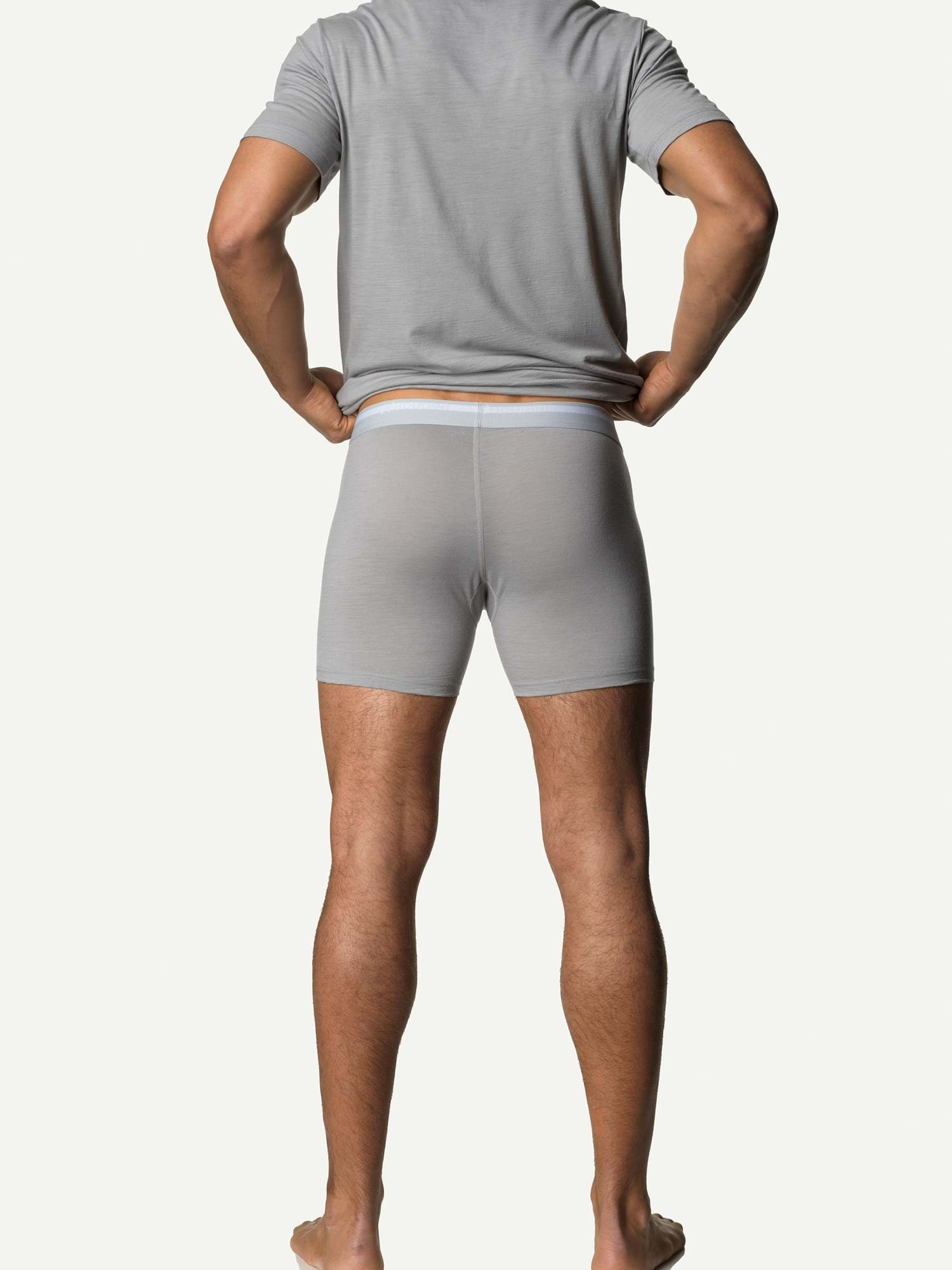 Cloudy Gray Desoli M's Funktionstights Houdini Boxers