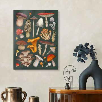 Posterlounge Acrylglasbild Vasilisa Romanenko, Pilze, Küche Natürlichkeit Illustration