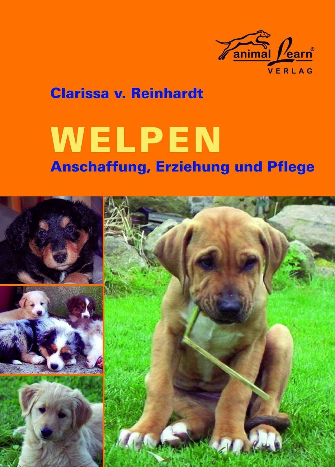Welpen / Clarissa Reinhardt