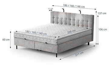 Beautysofa Polsterbett Muna (mit 17 cm Pocketmatratze und Topper, Doppelbett mit Bettkasten), mit zwei Metallampen, 146 / 166 / 186 cm, Bett aus Velours