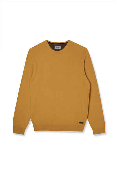 Pierre Cardin Strickpullover