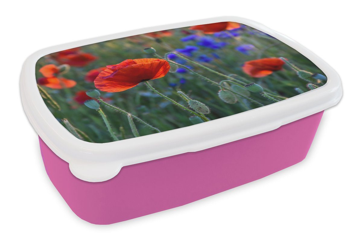 Brotbox Bunte Mädchen, Brotdose Lunchbox (2-tlg), MuchoWow Niederlanden, den Snackbox, Kunststoff, für Erwachsene, Kinder, in rosa Mohnblumen Kunststoff