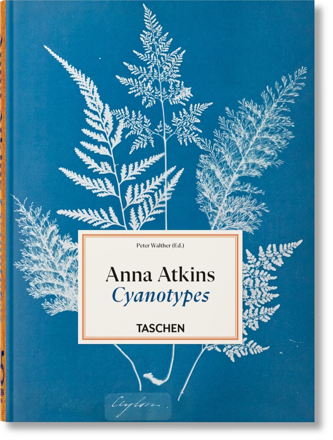 Anna Atkins / Peter Walther