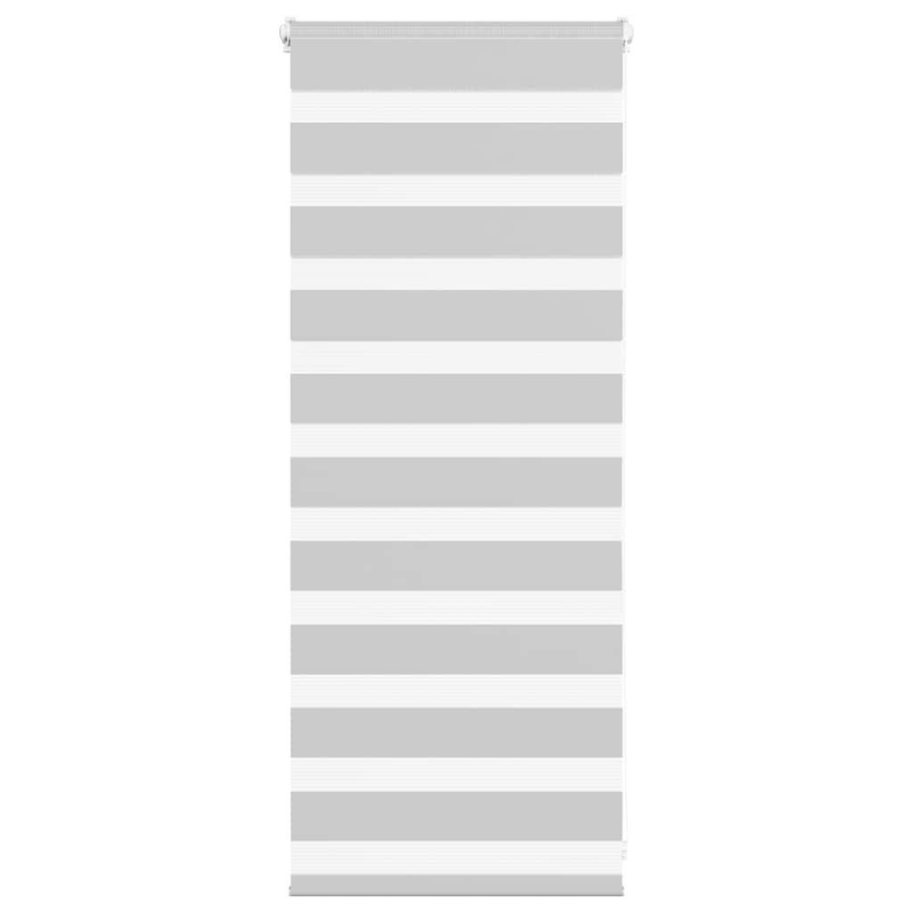 Rollo Doppelrollo Hellgrau 65x100 cm Stoffbreite 60,9 cm Polyester, vidaXL günstig online kaufen
