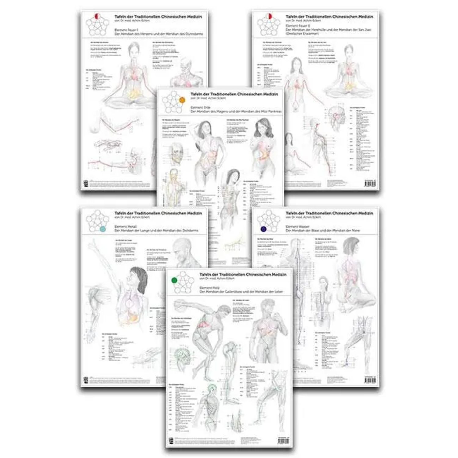 Poster Set von 6 Tafeln der Traditionellen Chinesischen Medizin