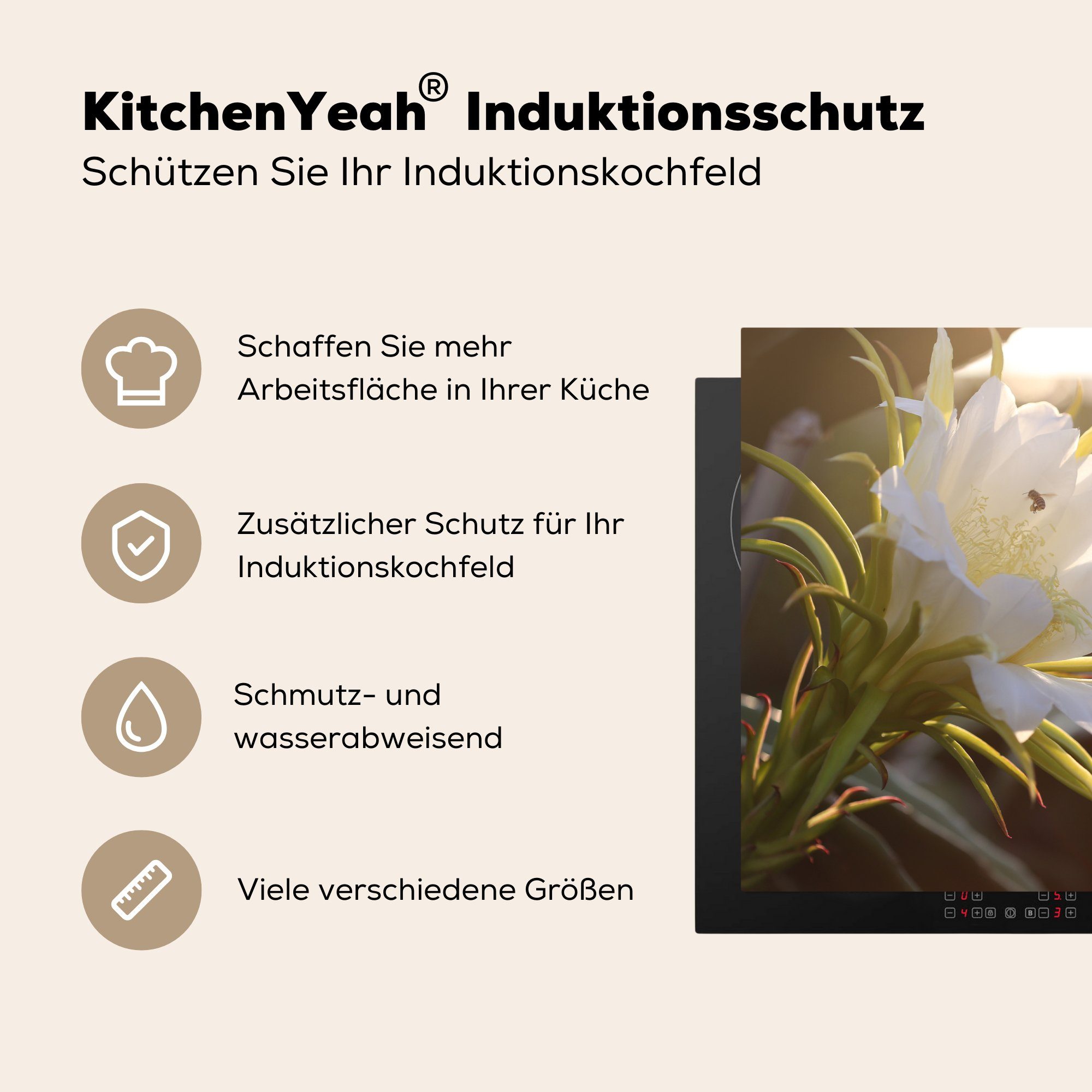 Nahaufnahme cm, die MuchoWow Vinyl, (1 tlg), Pitaja-Blume, 81x52 Schutz für einer Induktionskochfeld Ceranfeldabdeckung küche, Herdblende-/Abdeckplatte