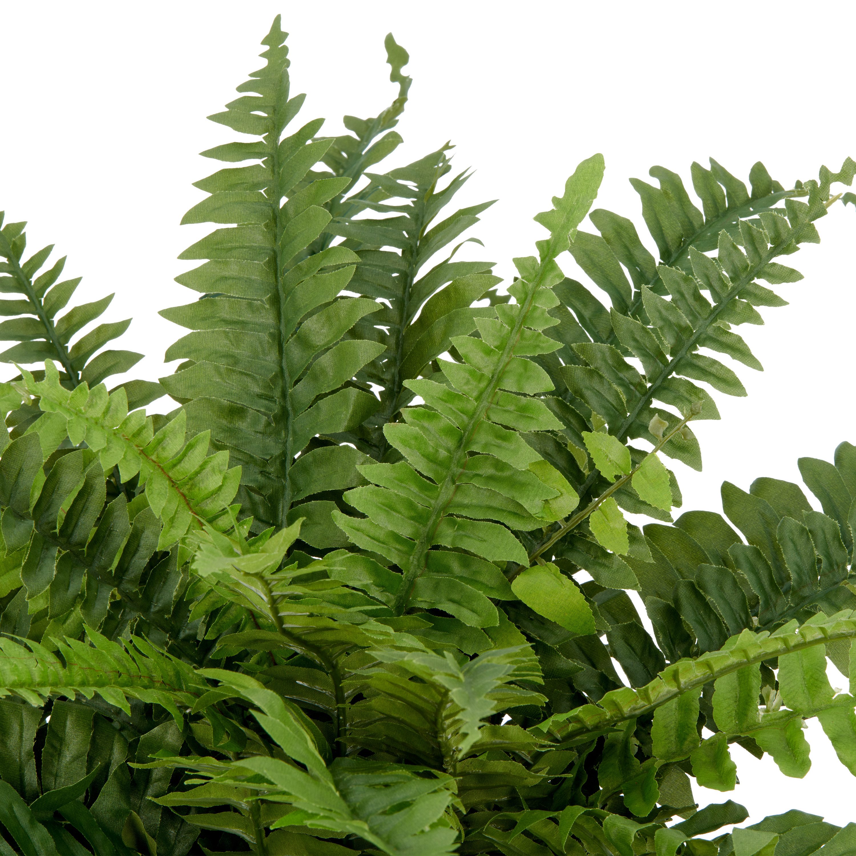 Kunstpflanze Bostonfarn ohne Topf, Creativ green, Höhe 60 cm, mit zahlreich günstig online kaufen