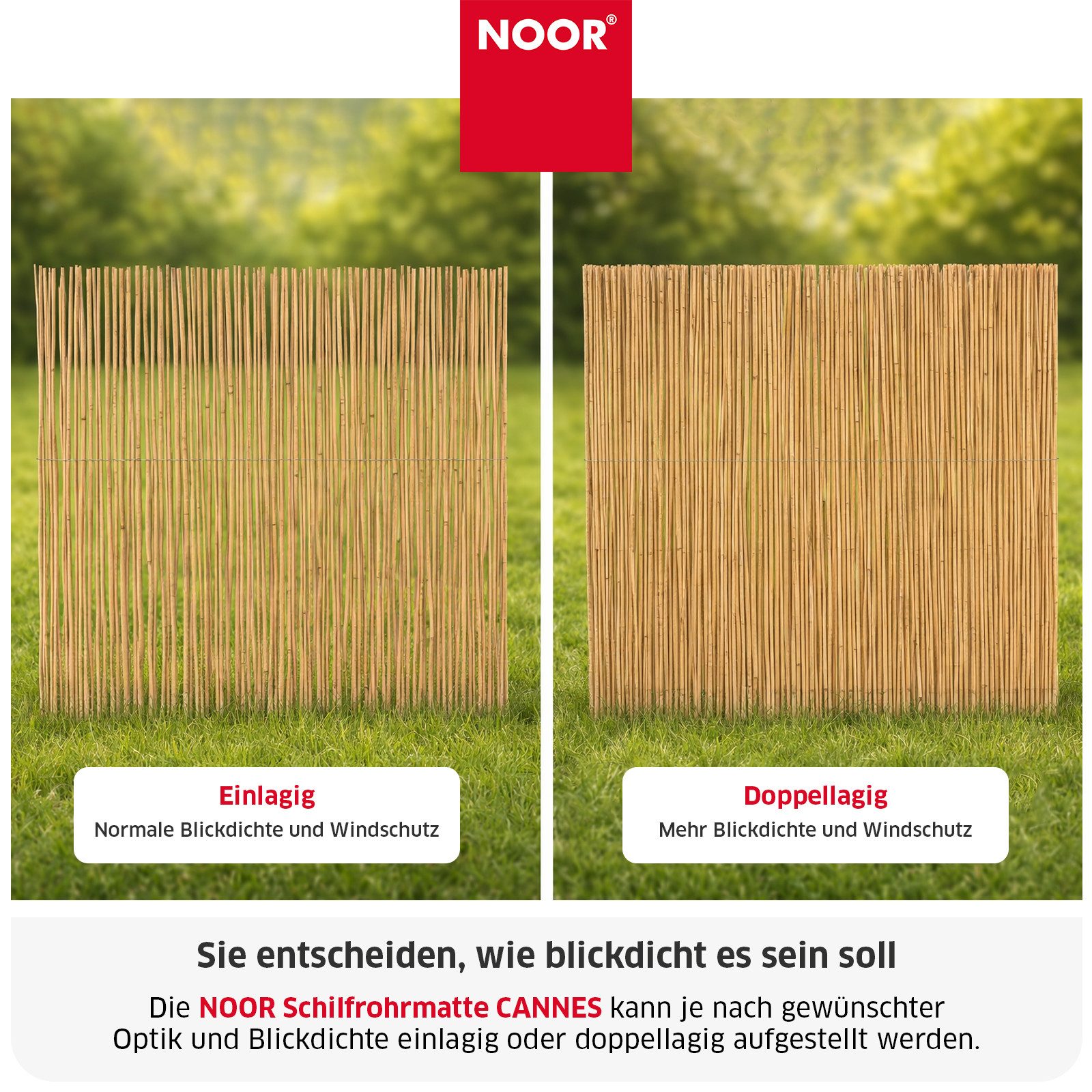 NOOR Sichtschutzzaunmatten Schilfrohrmatte CANNES - Sichtschutz mit Nylonbindung – Bild 4 von 5