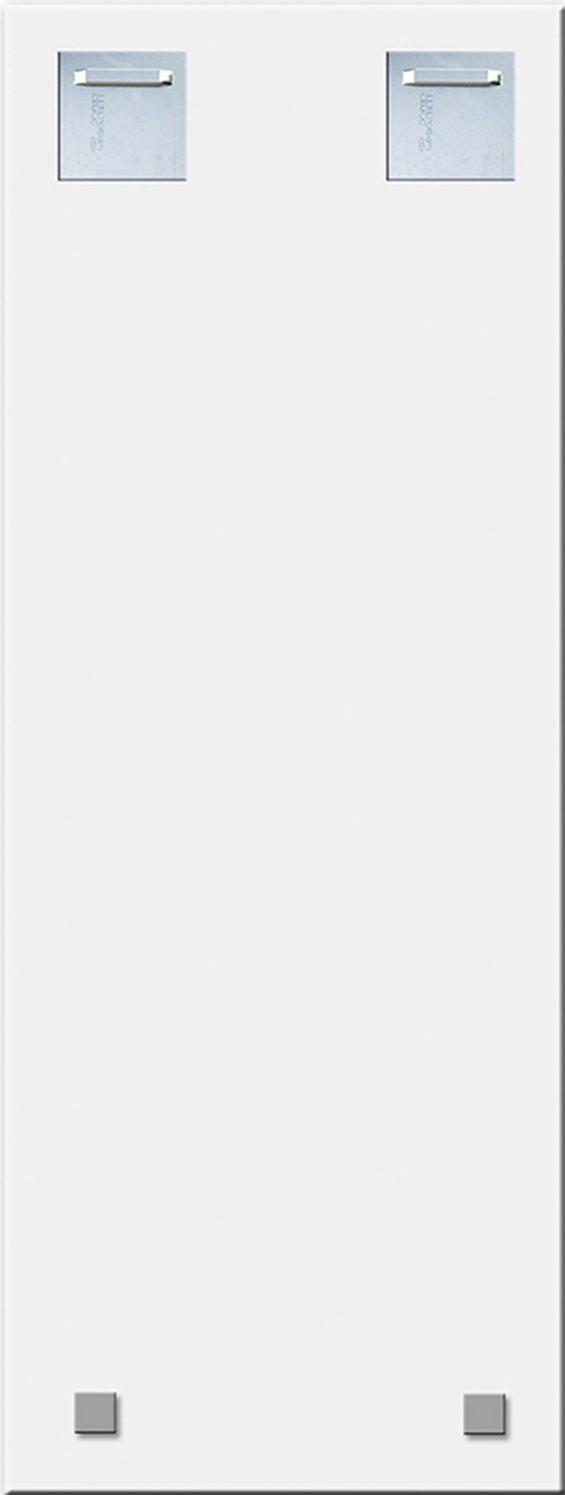 artissimo Glasbild Glasbild 30x80cm Bild aus Glas Wandbild Hochkant hell beige grau weiß, Natur und Blumen: Stillleben Boho