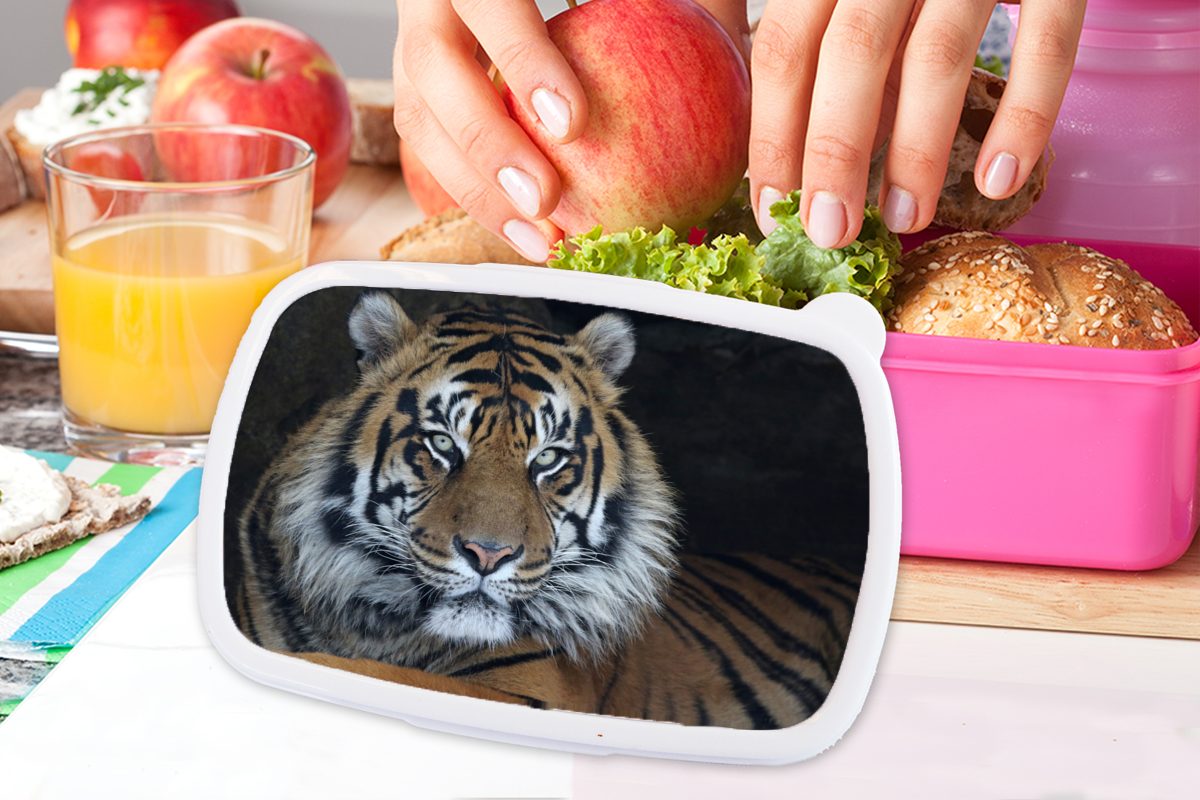 Snackbox, Mädchen, Kunststoff, - Kinder, Lunchbox (2-tlg), Kunststoff Höhle Natur, Brotbox - rosa Brotdose für Tiger Erwachsene, MuchoWow