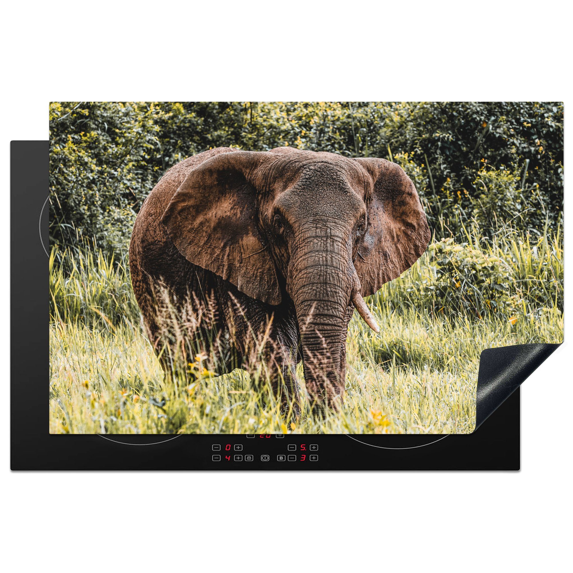 MuchoWow Herdblende-/Abdeckplatte Elefant - Natur - Gras, Vinyl, (1 tlg), 81x52 cm, Induktionskochfeld Schutz für die küche, Ceranfeldabdeckung