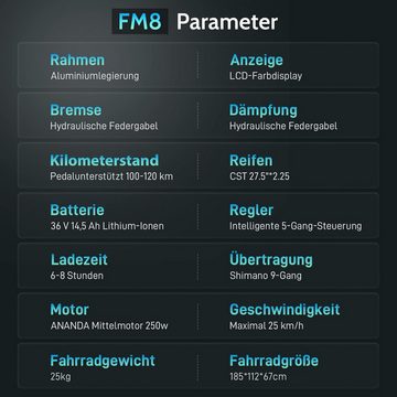 DOTMALL E-Bike Fafrees FM8 27,5 Zoll 250 W Mittelmotor36V 14,5 Ah Batterie