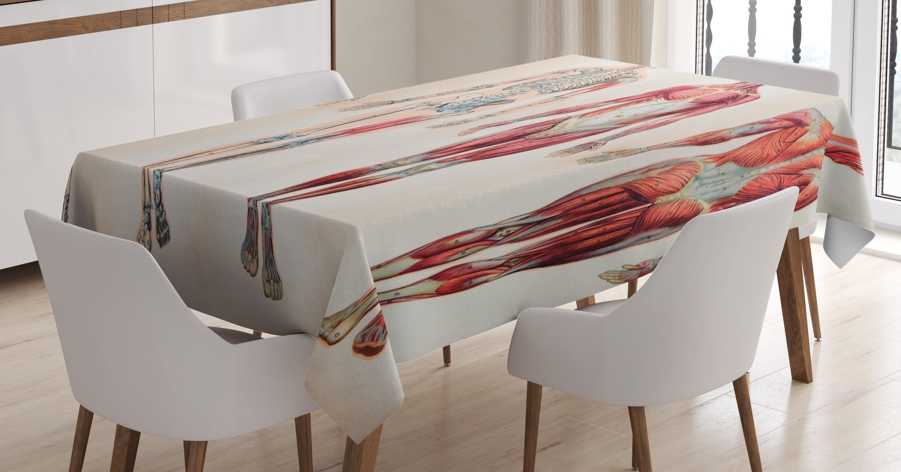 Abakuhaus Tischdecke Farbfest Waschbar Für den Außen Bereich geeignet Klare Farben, Jahrgang Anatomie Menschlicher Körper