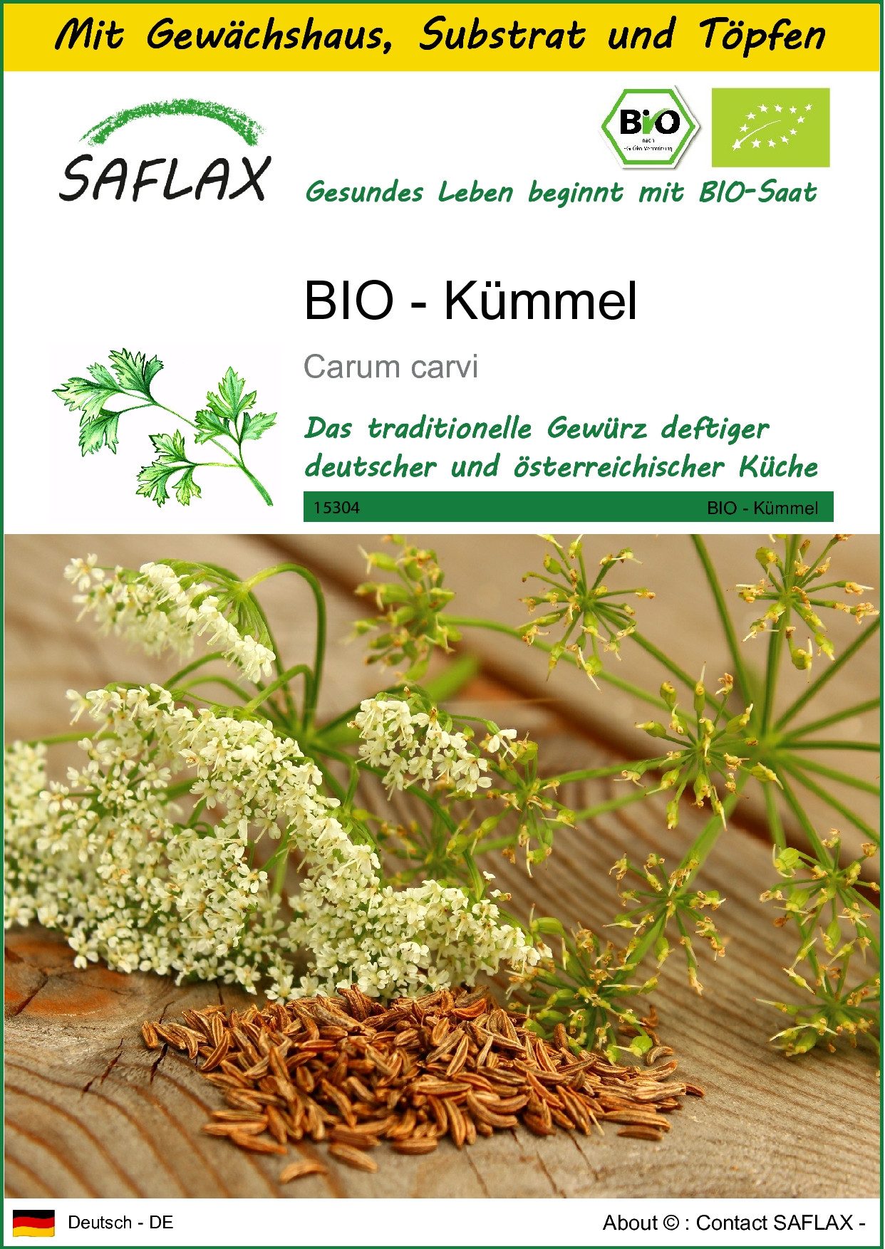 SAFLAX Kräutersamen SAFLAX - Anzuchtset - BIO - Kümmel