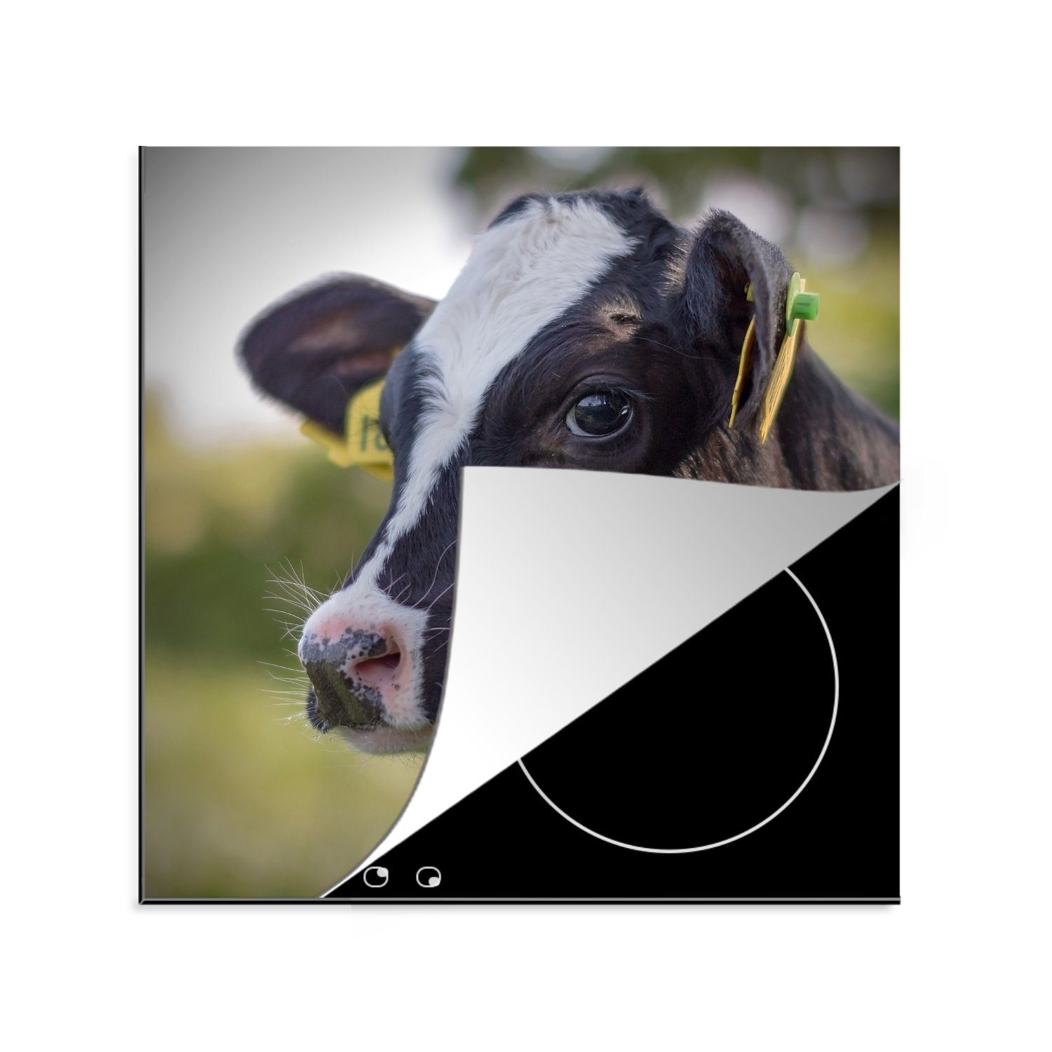 MuchoWow Herdblende-/Abdeckplatte Kuh - Kalb - Tiere - Bauernhof, Vinyl, (1 tlg), 78x78 cm, Ceranfeldabdeckung, Arbeitsplatte für küche