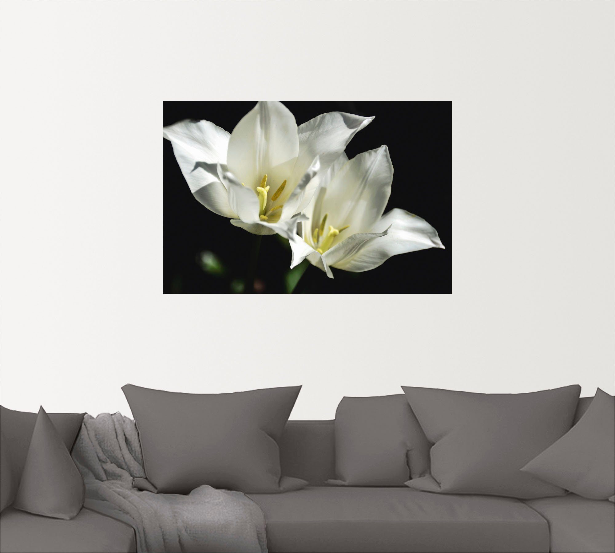 Artland Wandbild weiß auf Blumenbilder Leinwandbild, Tulpen Größen (1 schwarz, oder Alubild, versch. Wandaufkleber in als - Poster St)
