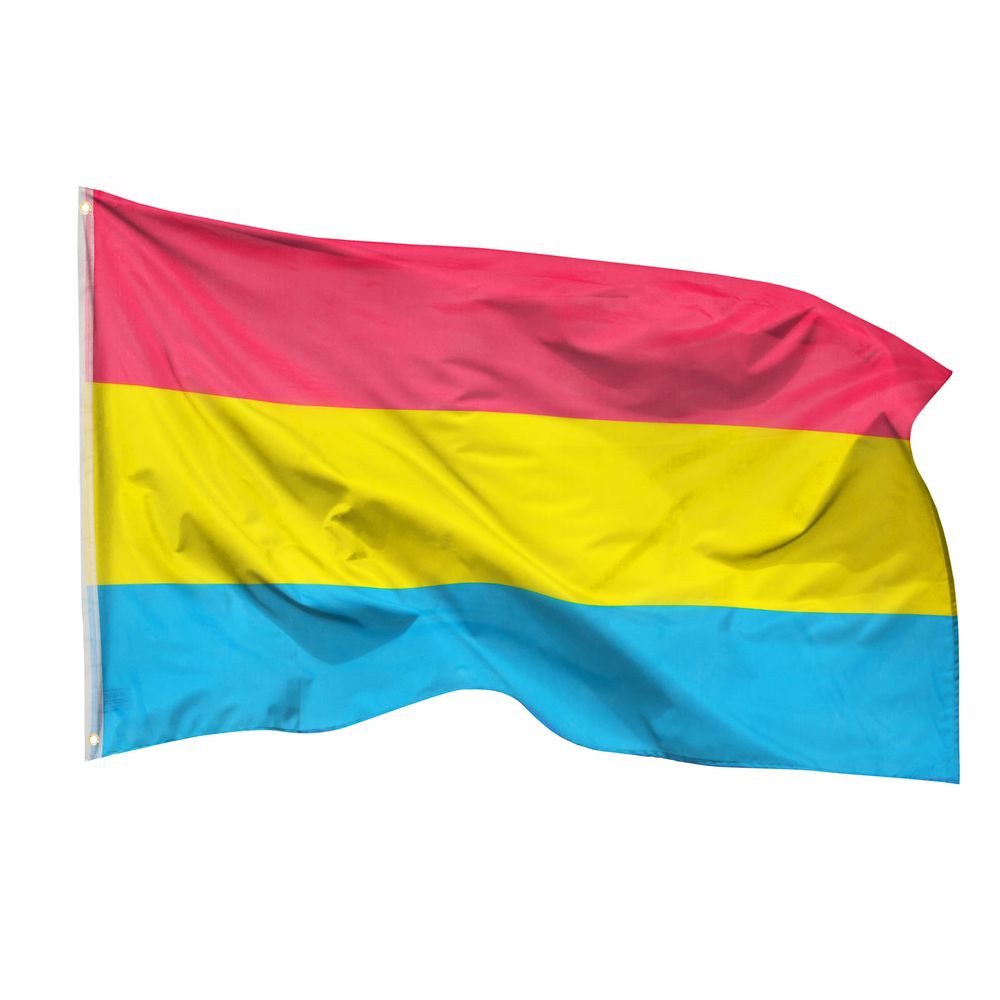 PHENO FLAGS Flagge Pansexual Pride Flagge LGBT PAN 90 x 150 cm Pansexuelle Fahne (Hissflagge für Fahnenmast), Inkl. 2 Messing Ösen
