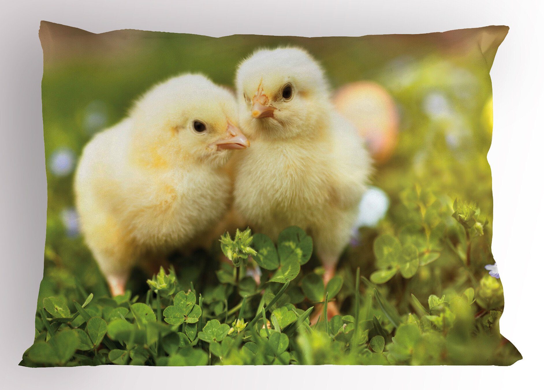 Chicks Gedruckter Stück), Standard Baby-Hühner Kissenbezug, Size Kissenbezüge Abakuhaus (1 Dekorativer King Foto
