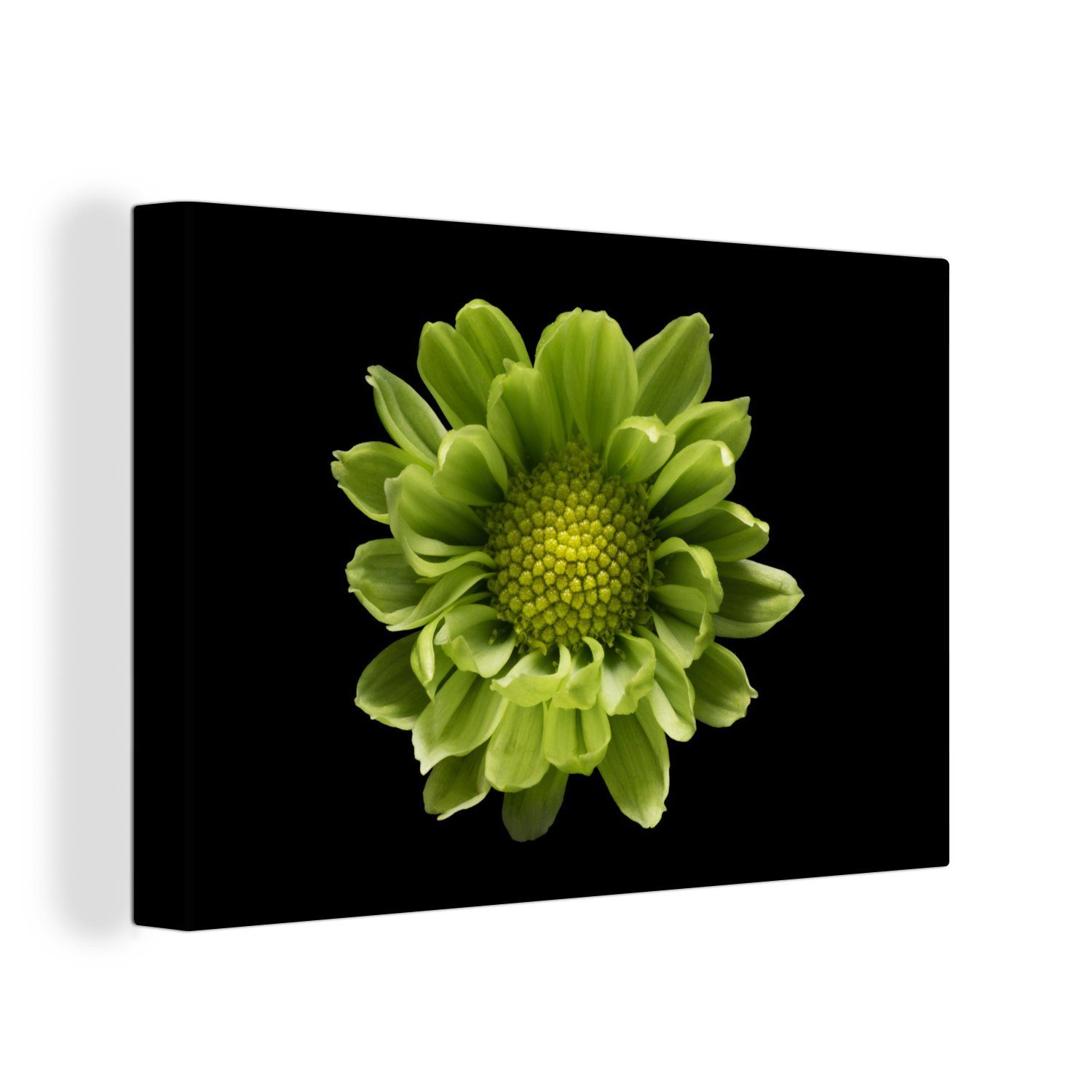 OneMillionCanvasses® Leinwandbild Eine Nahaufnahme der Chrysanthemenblüte vor schwarzem Hintergrund, (1 St), Wandbild Leinwandbilder, Aufhängefertig, Wanddeko, 30x20 cm