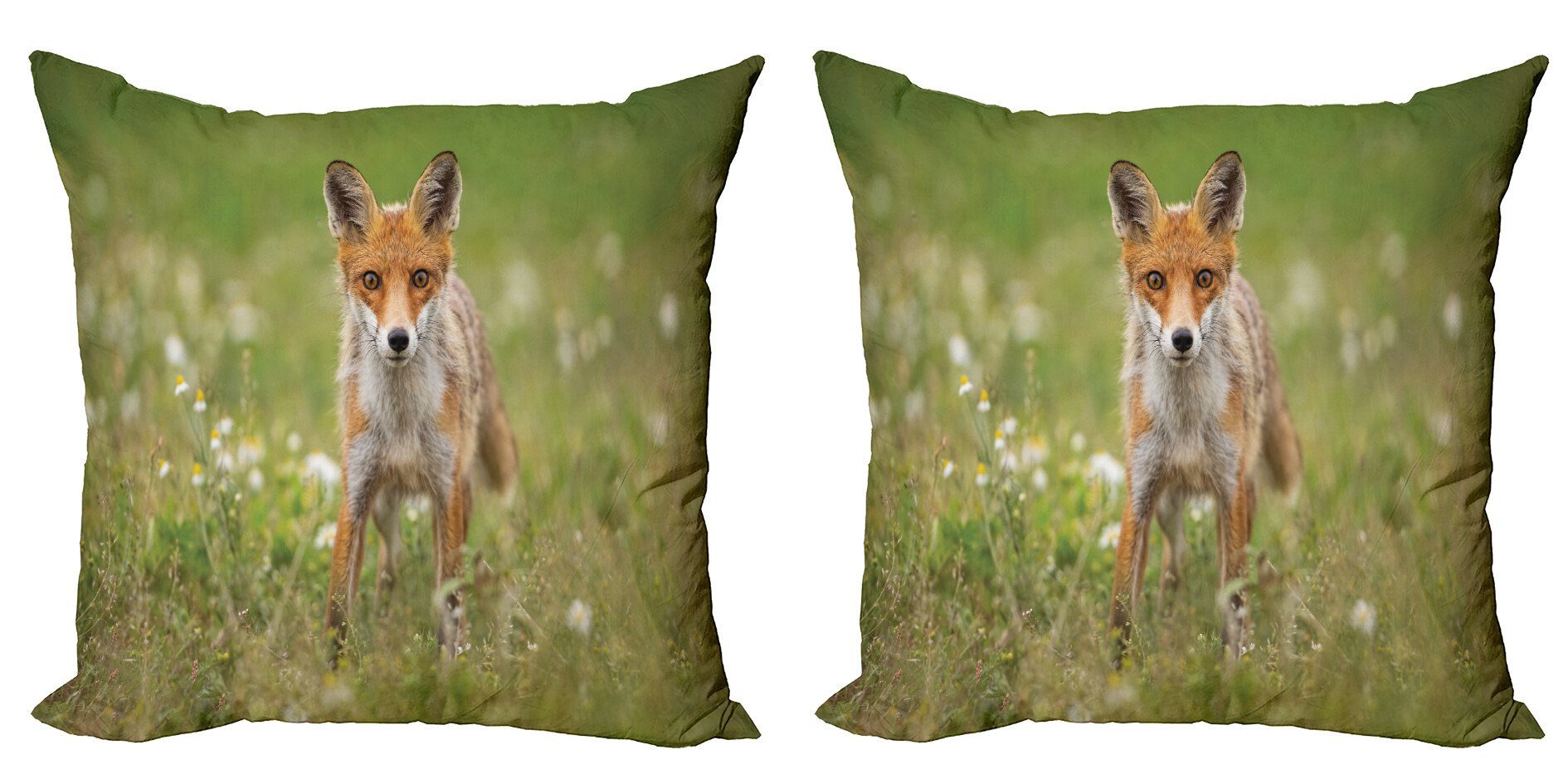 Coyote Kissenbezüge Tier Fuchs Accent Junge Modern Digitaldruck, Neugierige Stück), Abakuhaus Doppelseitiger (2