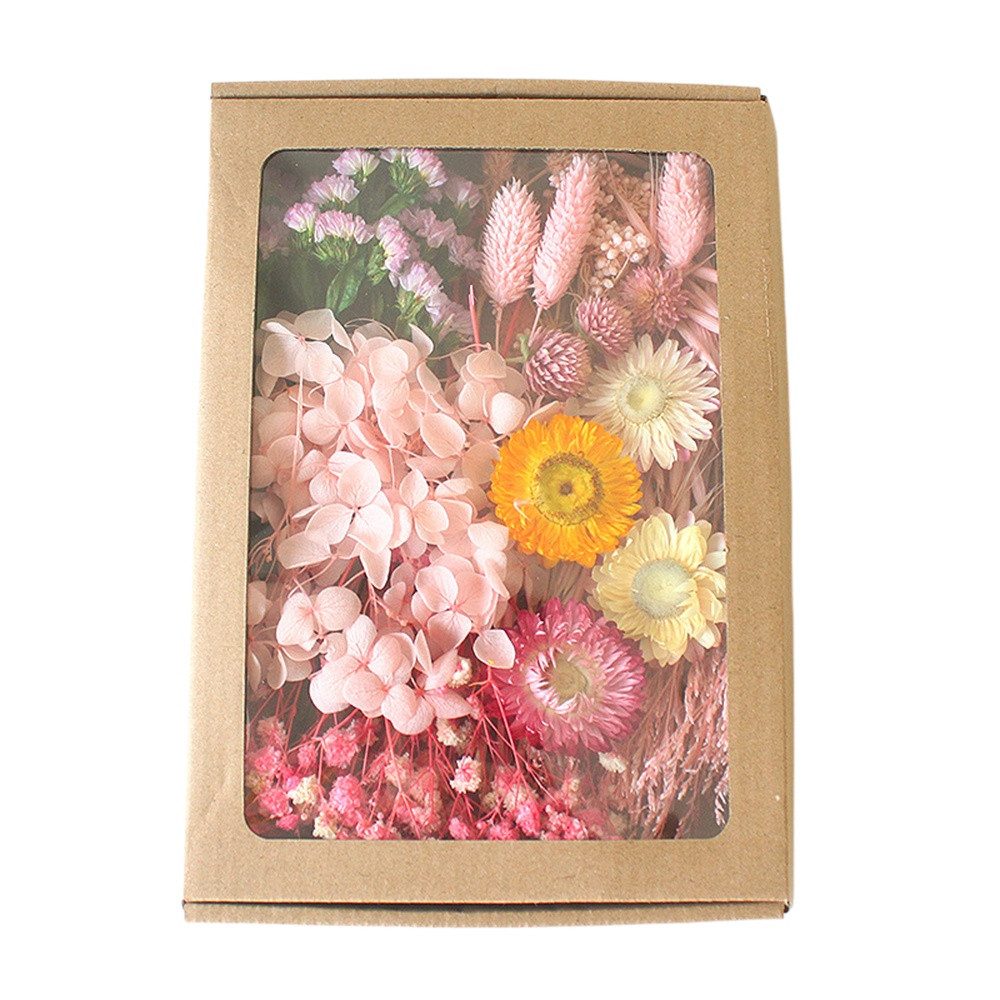 Trockenblume Klein Trockenblumen Deko Trockenblumen mit Papierbox Getrocknete Blumen, Trockenblumen zum Basteln, Coonoor, für Heimwerken Harz Scrapbooking Karten Heimdekoration