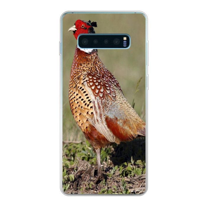 MuchoWow Handyhülle Fasan - Nahrung - Vogel Phone Case Handyhülle Samsung Galaxy S10+ Silikon Schutzhülle