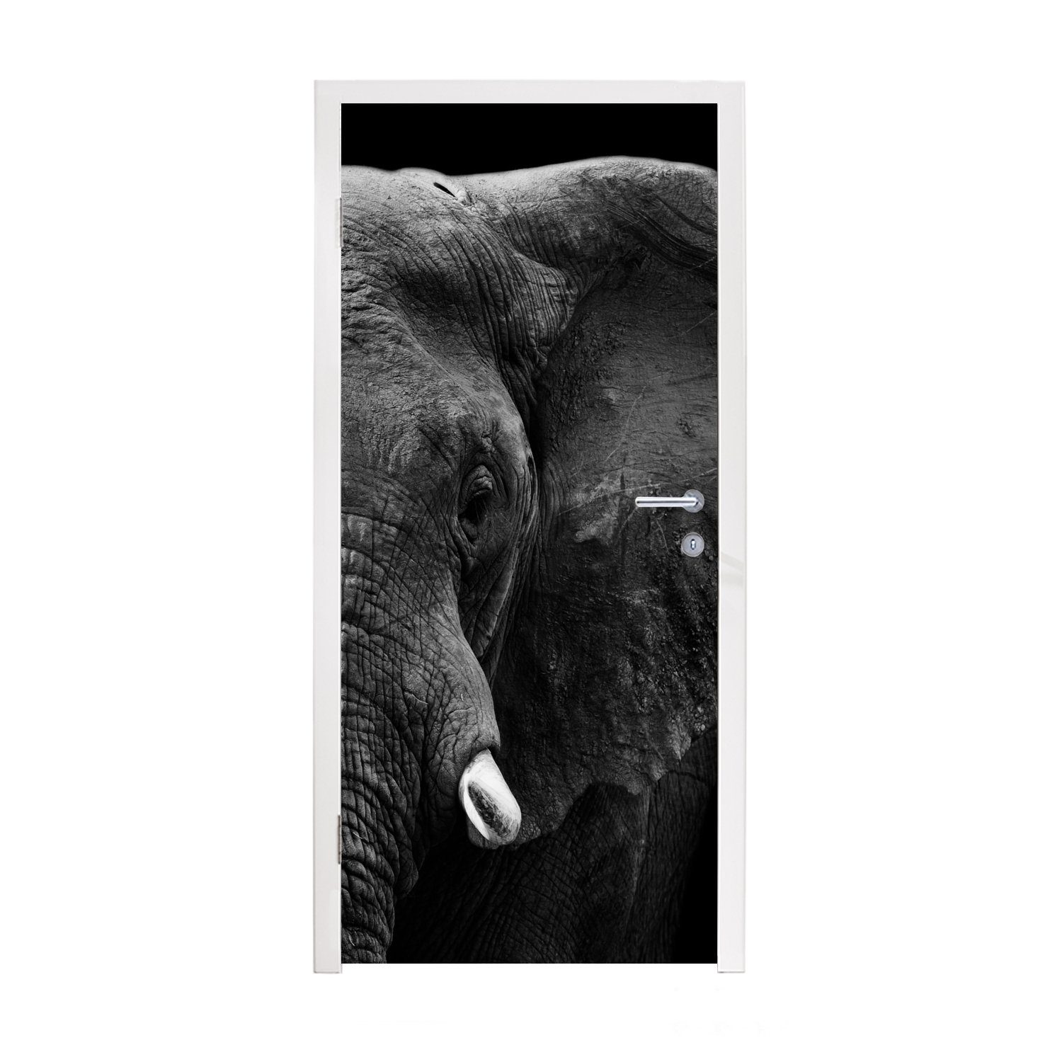 Fototapete Wild (1 - - Türaufkleber, Matt, Tiere Tür, 75x205 Schwarz bedruckt, cm MuchoWow für Türtapete - Weiß, St), - Elefant
