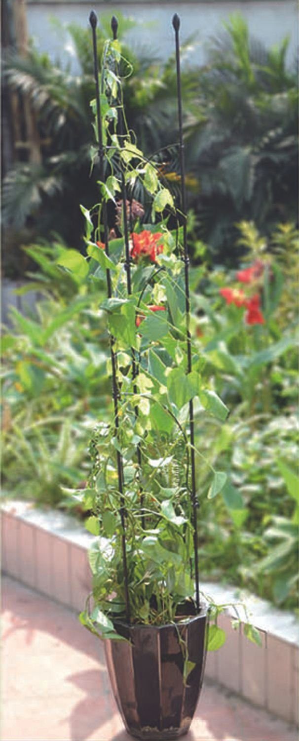Rankhilfe 6x 12er Set Rankhilfe 150cm Garten Pflanzenstütze Pflanzstäbe