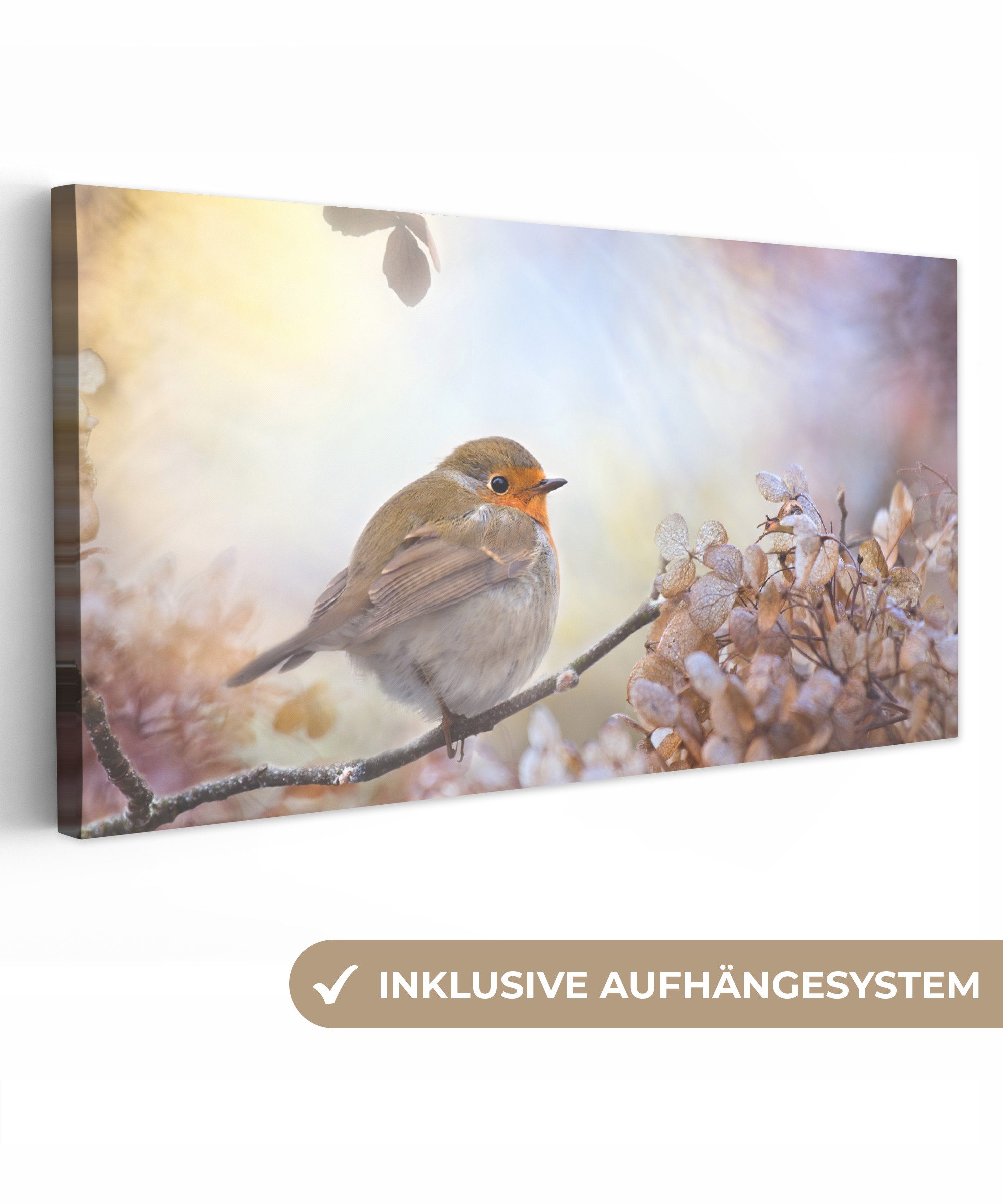 OneMillionCanvasses® Leinwandbild Panorama Vogel - Zweig günstig online kaufen