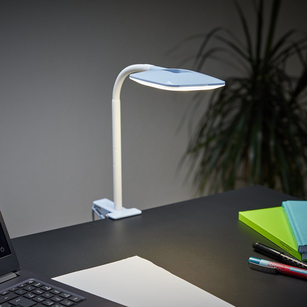 MeLiTec LED modernes Klemmfuß LED Design Schnurzwischenschalter, LED Flexarm, mit fest hellblau, mit warmweiß, integriert, Schreibtischlampe T160-2
