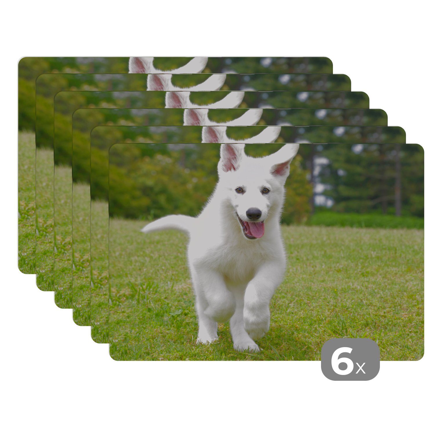 Platzset, Ein weißer Deutscher Schäferhund Welpe, MuchoWow, (6-St), Platzset, Platzdecken, Platzmatte, Tischmatten, Schmutzabweisend
