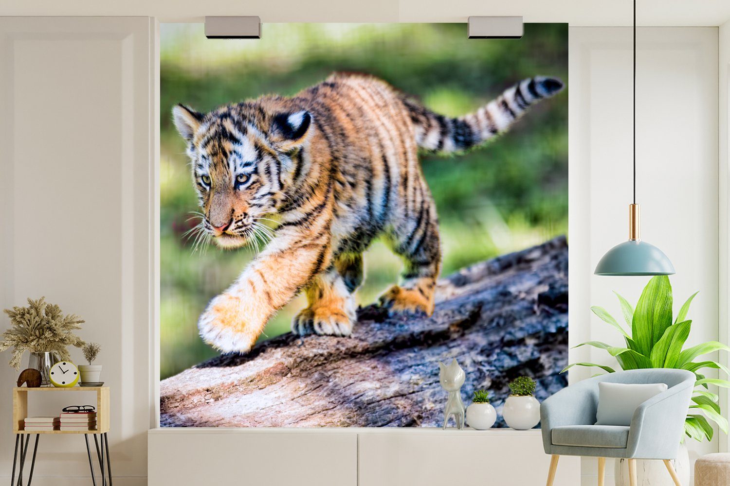 Tiger Matt, (4 Fototapete für Schlafzimmer MuchoWow Vliestapete bedruckt, Wohnzimmer - Baum, St), Junge - Fototapete Küche,