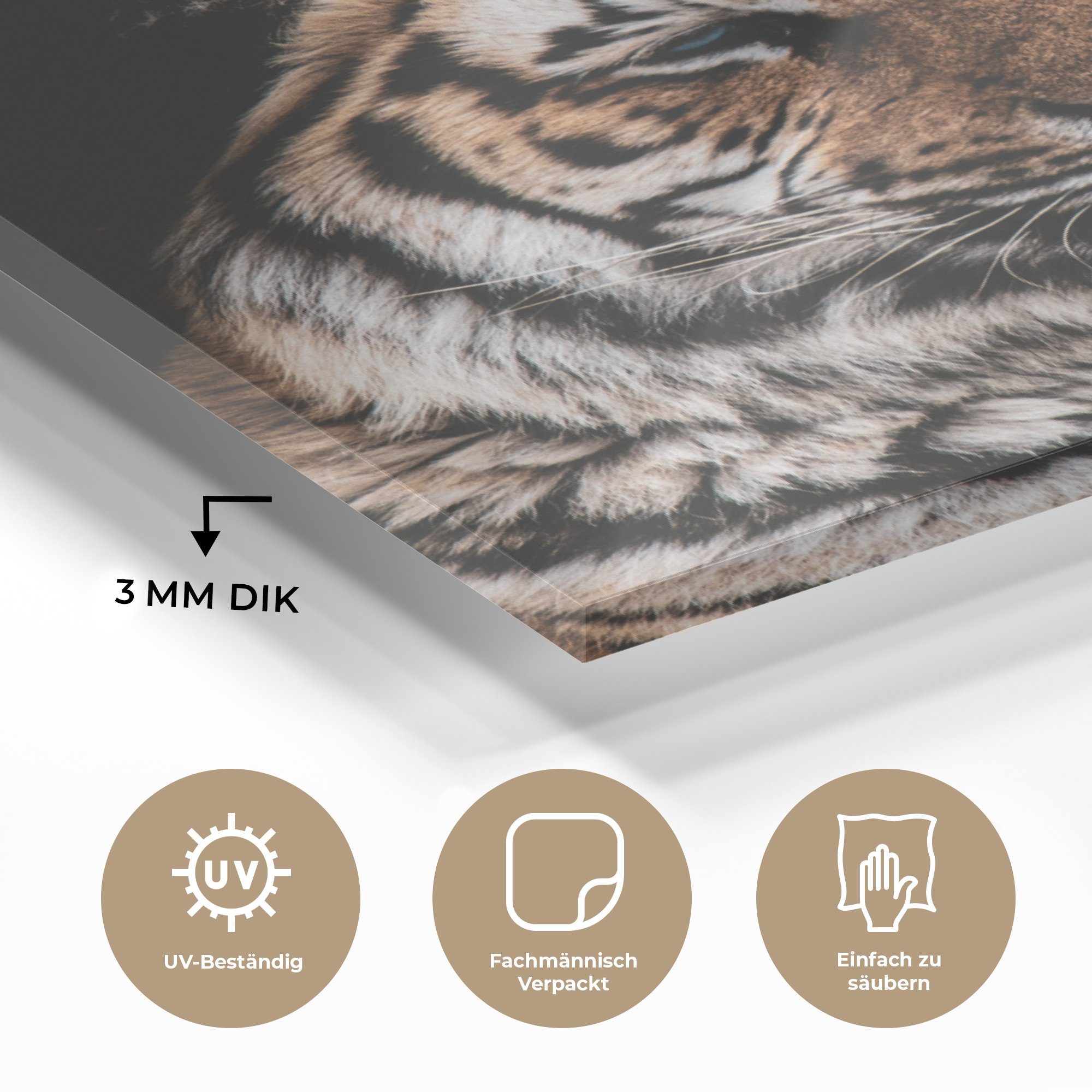 MuchoWow Acrylglasbild Tiger bunt Foto - auf Wanddekoration (1 Bilder - Glasbilder St), Glas - auf Schwarz, - Faulenzer Glas Wandbild 