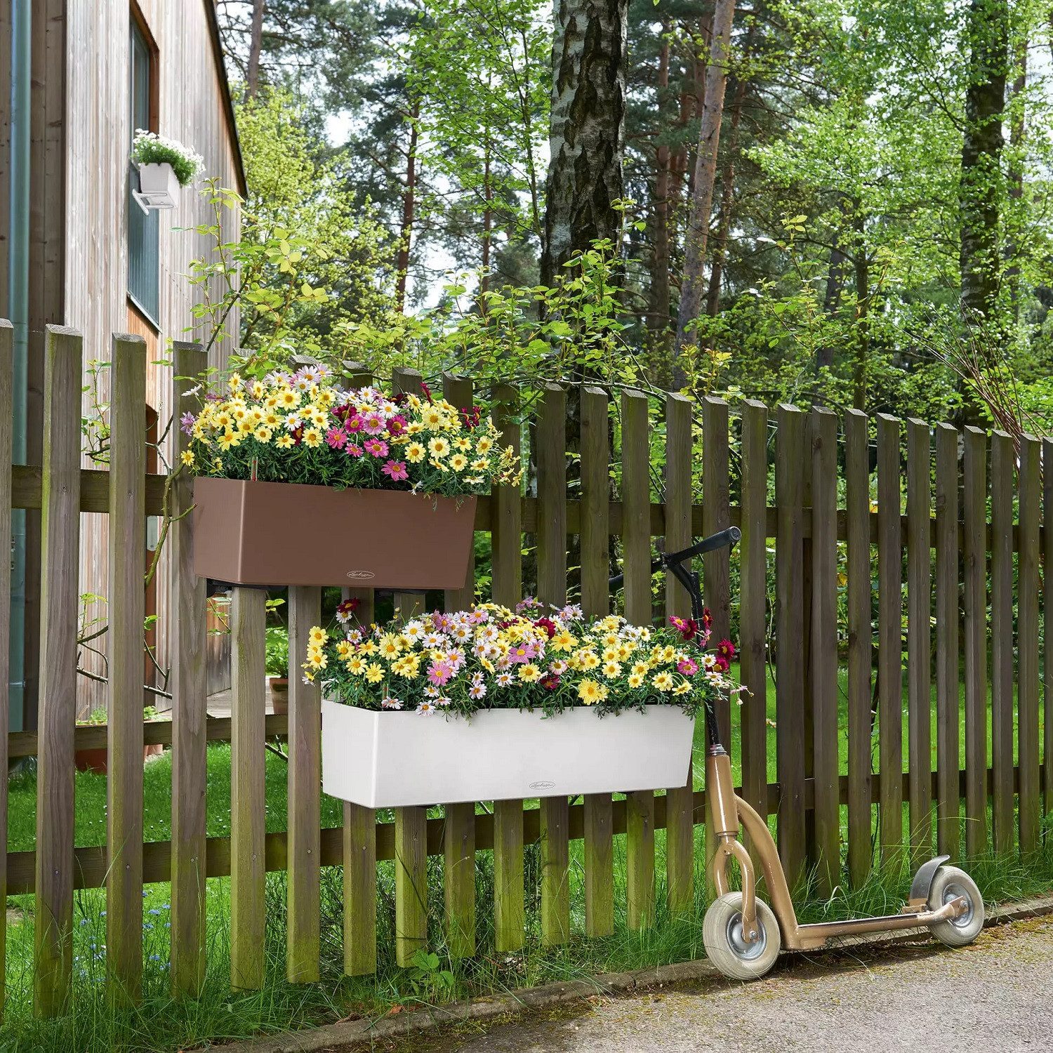 Lechuza® Balkonkasten Balconera Color 40 sandbraun günstig online kaufen