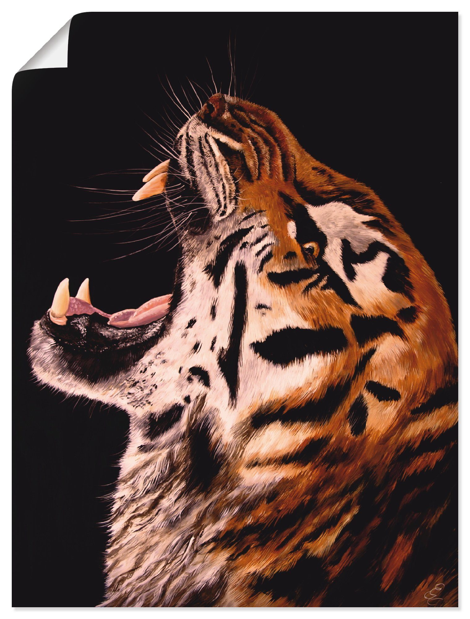 Wandbild versch. in Artland oder als Poster Tiger, Leinwandbild, Wandaufkleber (1 Alubild, Größen Wildtiere St),