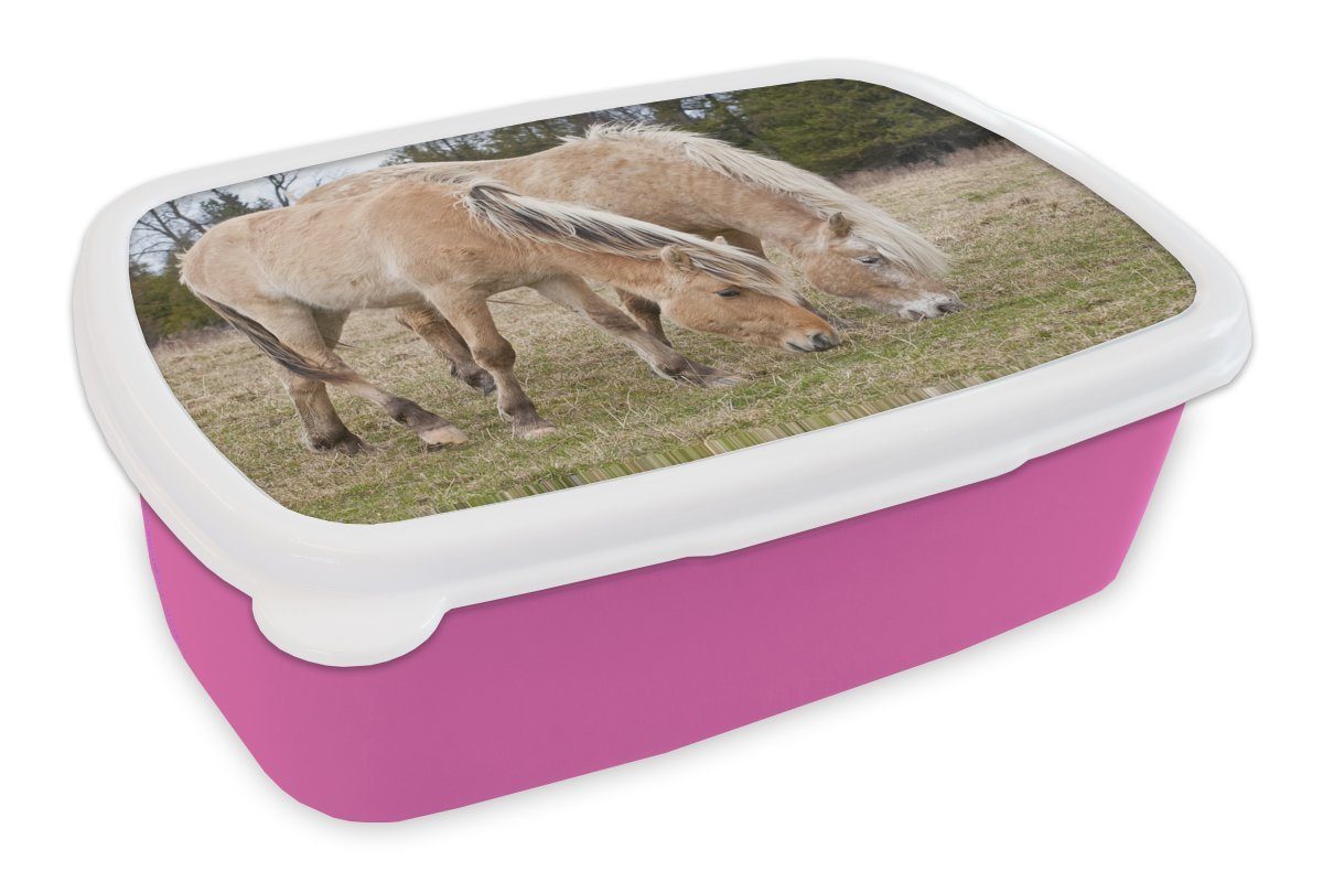 Kunststoff, Erwachsene, Brotbox Brotdose MuchoWow auf Kunststoff Fjordpferde Kinder, Snackbox, (2-tlg), Zwei Wiese, einer Lunchbox Mädchen, rosa für grasende
