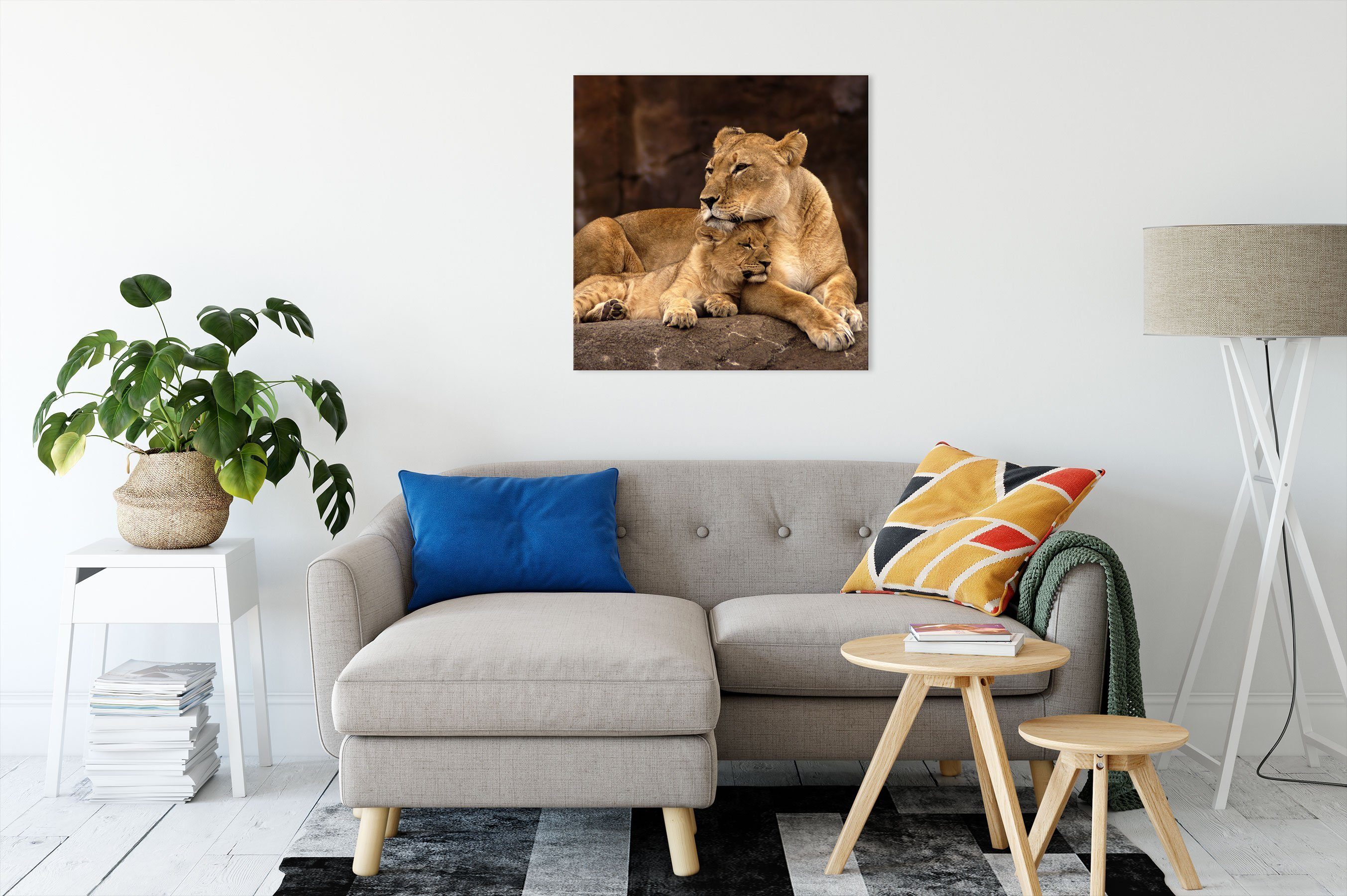 bespannt, fertig Pixxprint Löwe Zackenaufhänger St), Leinwandbild Löwenjungen, Löwe mit mit inkl. Leinwandbild Löwenjungen (1