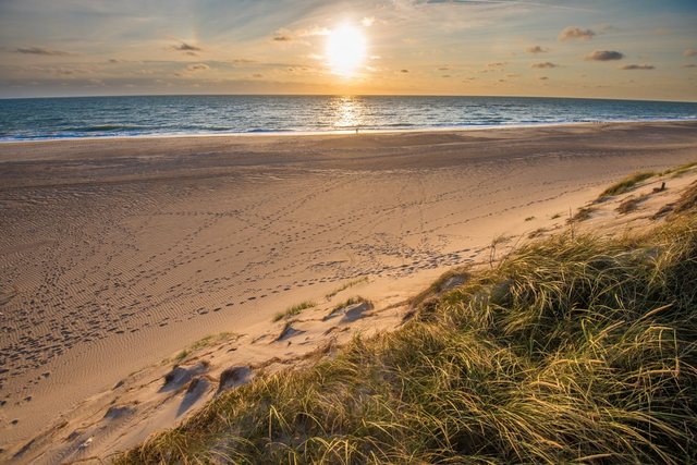 Papermoon Fototapete »Dunes Beach Jutland«, glatt-Otto