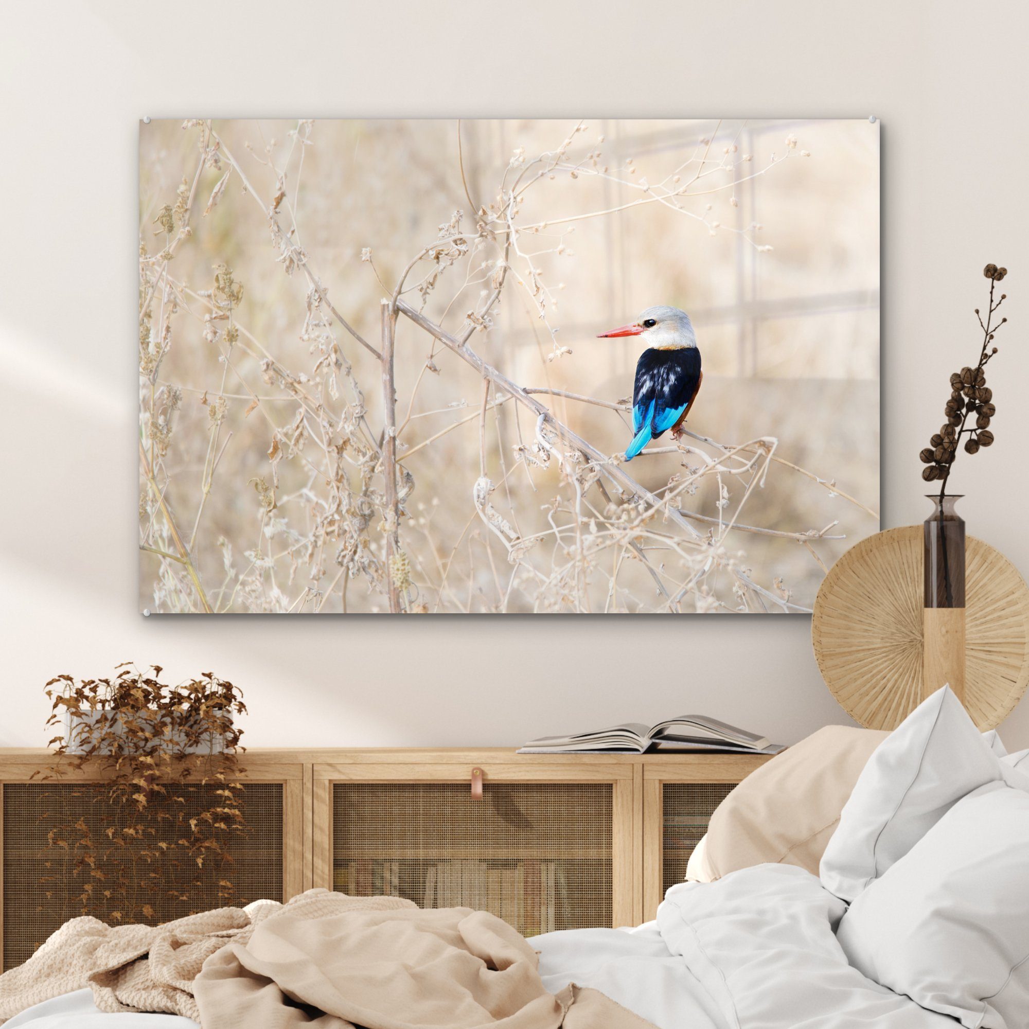 MuchoWow Acrylglasbild Hervorragendes St), & (1 Wohnzimmer Acrylglasbilder Schlafzimmer der eines trockenen, Foto in Graukopf-Eisvogels