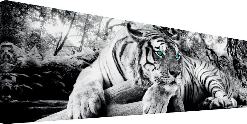 Wandbild - Wandbild Reinders! Wandbild Raubtier Tiger - Tigerblick Wohnzimmer - Wandbild