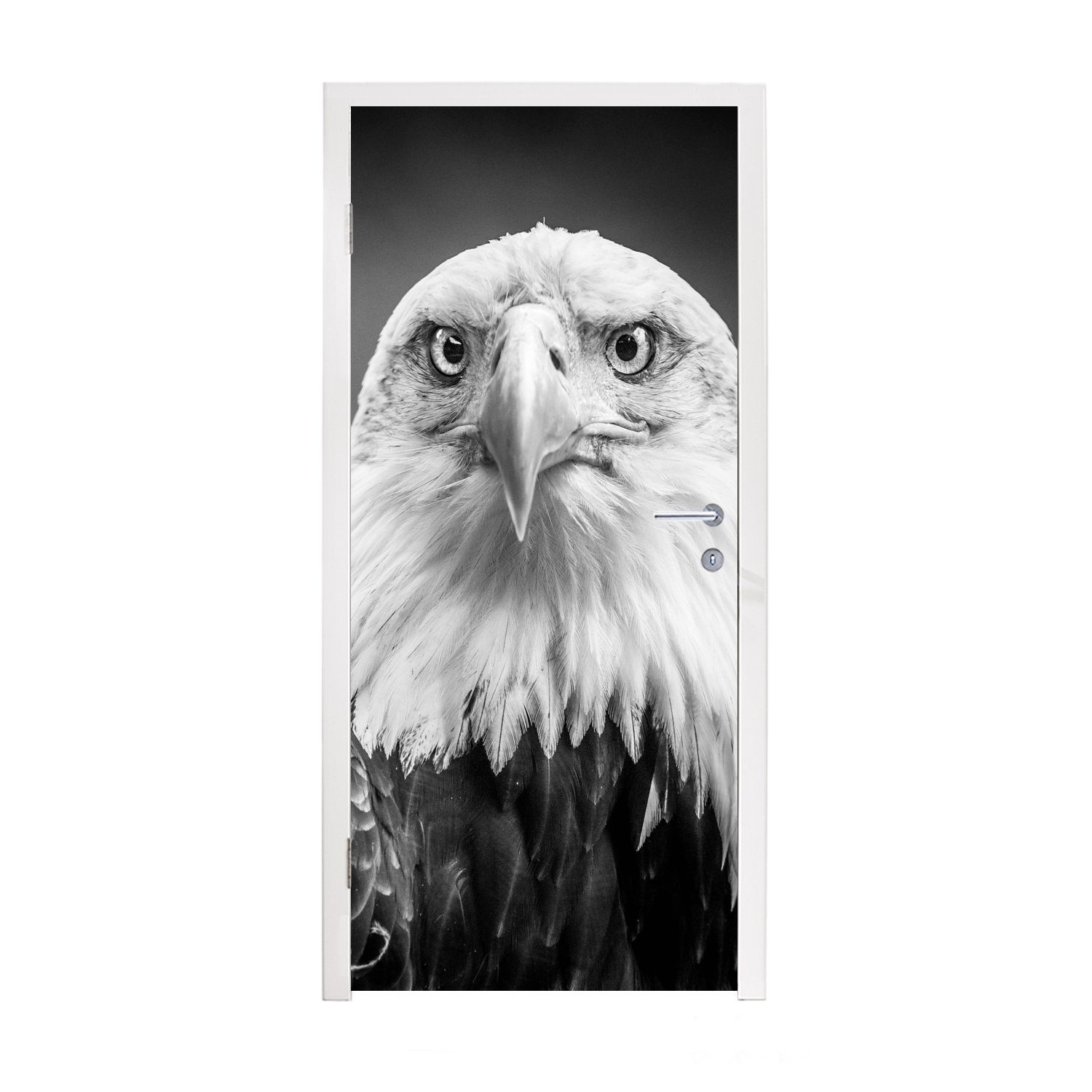 MuchoWow Türtapete Adler - Raubvogel - Schwarz - Weiß - Tiere, Matt, bedruckt, (1 St), Fototapete für Tür, Türaufkleber, 75x205 cm