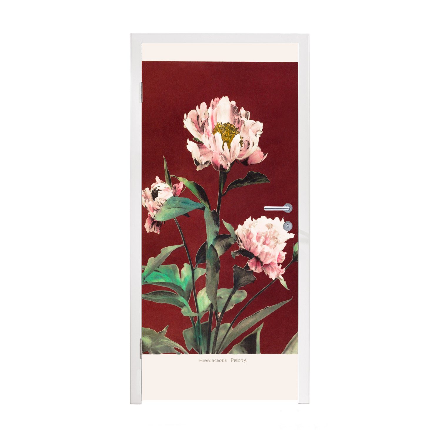 MuchoWow Türtapete Blumen - Pflanzen Farben - 75x205 für St), (1 Matt, Türaufkleber, Tür, cm - Rot Fototapete bedruckt, - Vintage