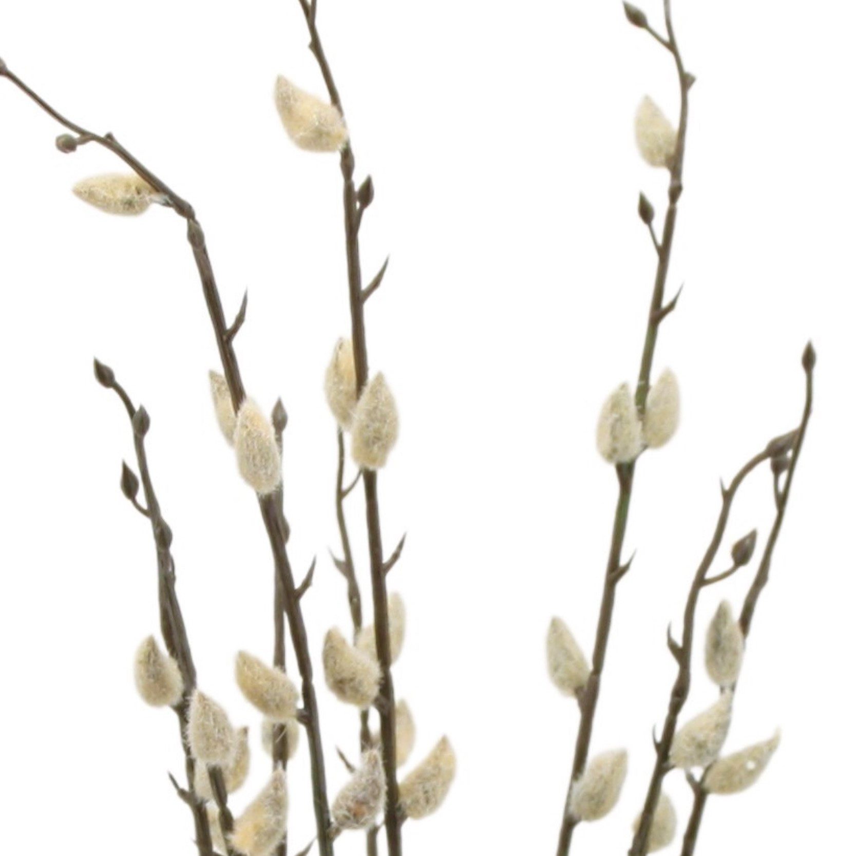 Kunstzweig Künstlicher WEIDENKÄTZCHEN BUND ca 50cm. 3 Palmkätzchen-Zweige., günstig online kaufen