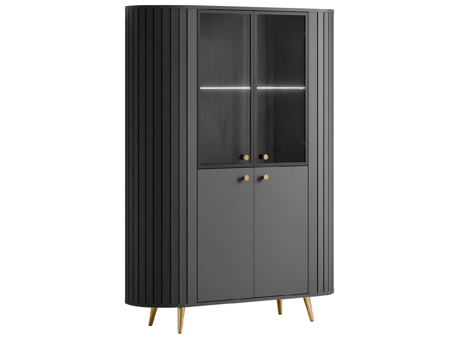 yourhouse24 Glasvitrine ELODIE mit LED-Beleuchtung Schwarz, günstig online kaufen