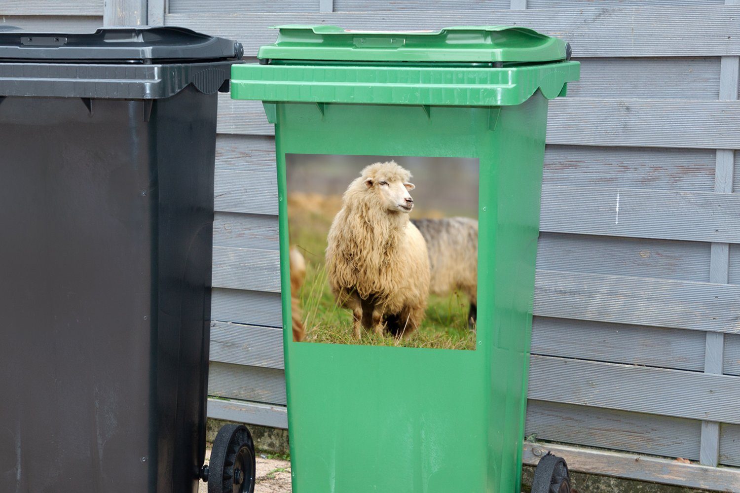 St), Mülltonne, Schafe Abfalbehälter Mülleimer-aufkleber, - Container, Wandsticker (1 MuchoWow Gras Wolle - Sticker,