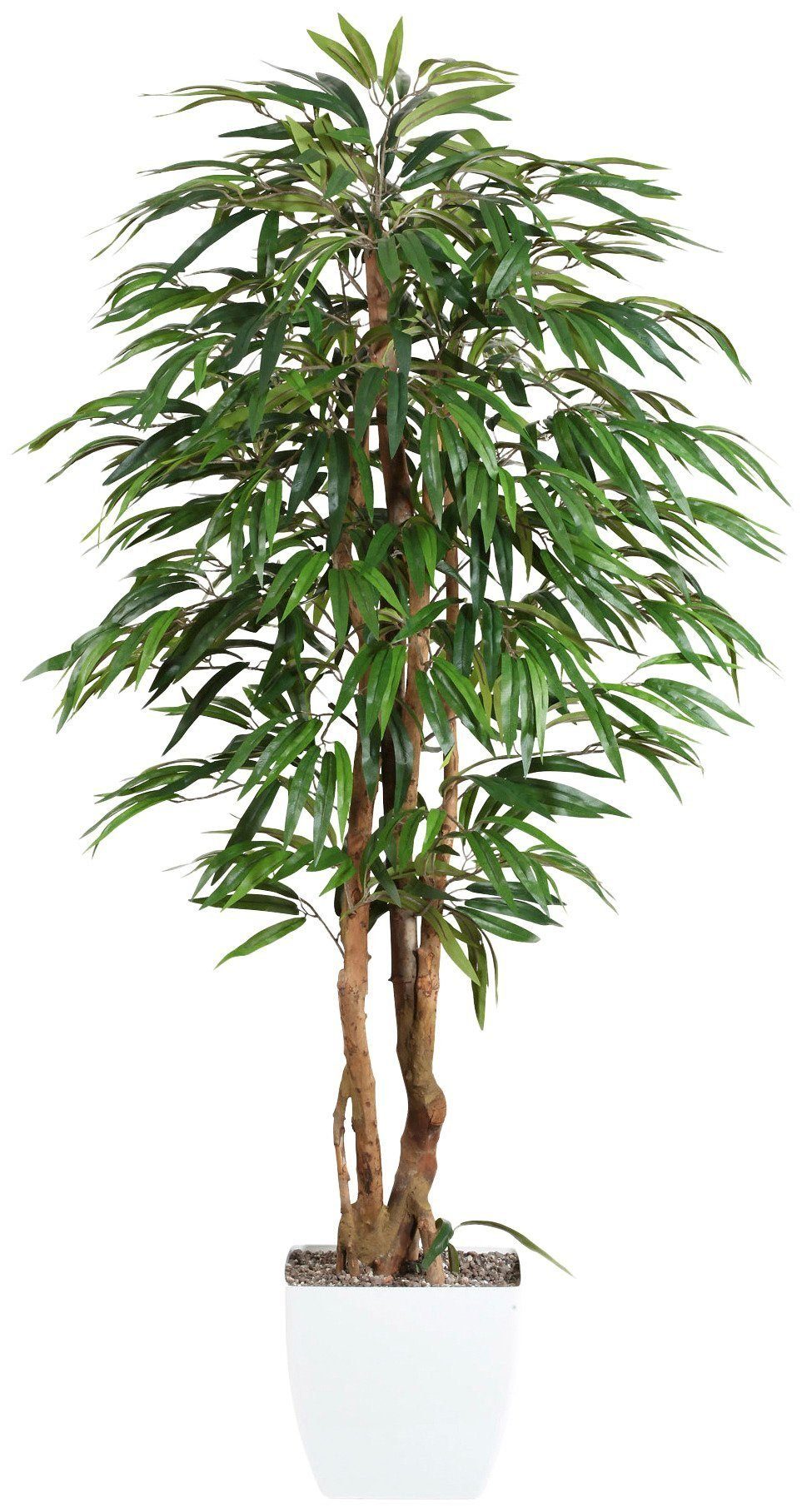 Weeping-Ficus Ficus, cm green, Creativ Kunstpflanze Höhe 150