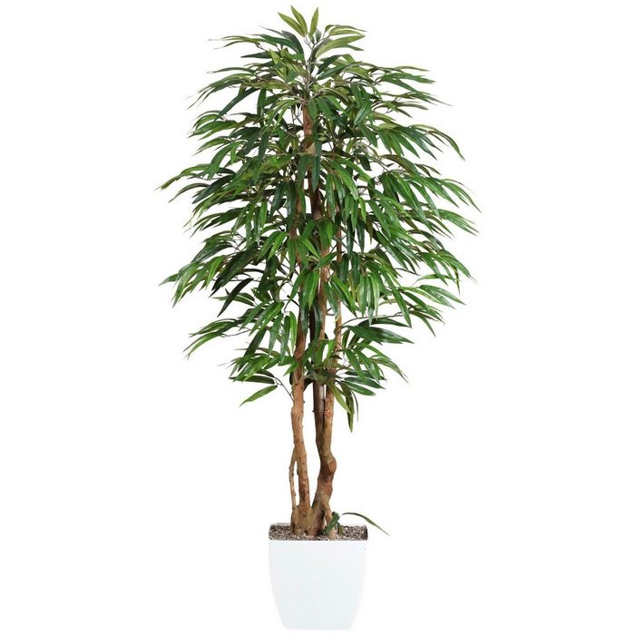 Kunstpflanze Weeping-Ficus Ficus Creativ green Höhe 150 cm