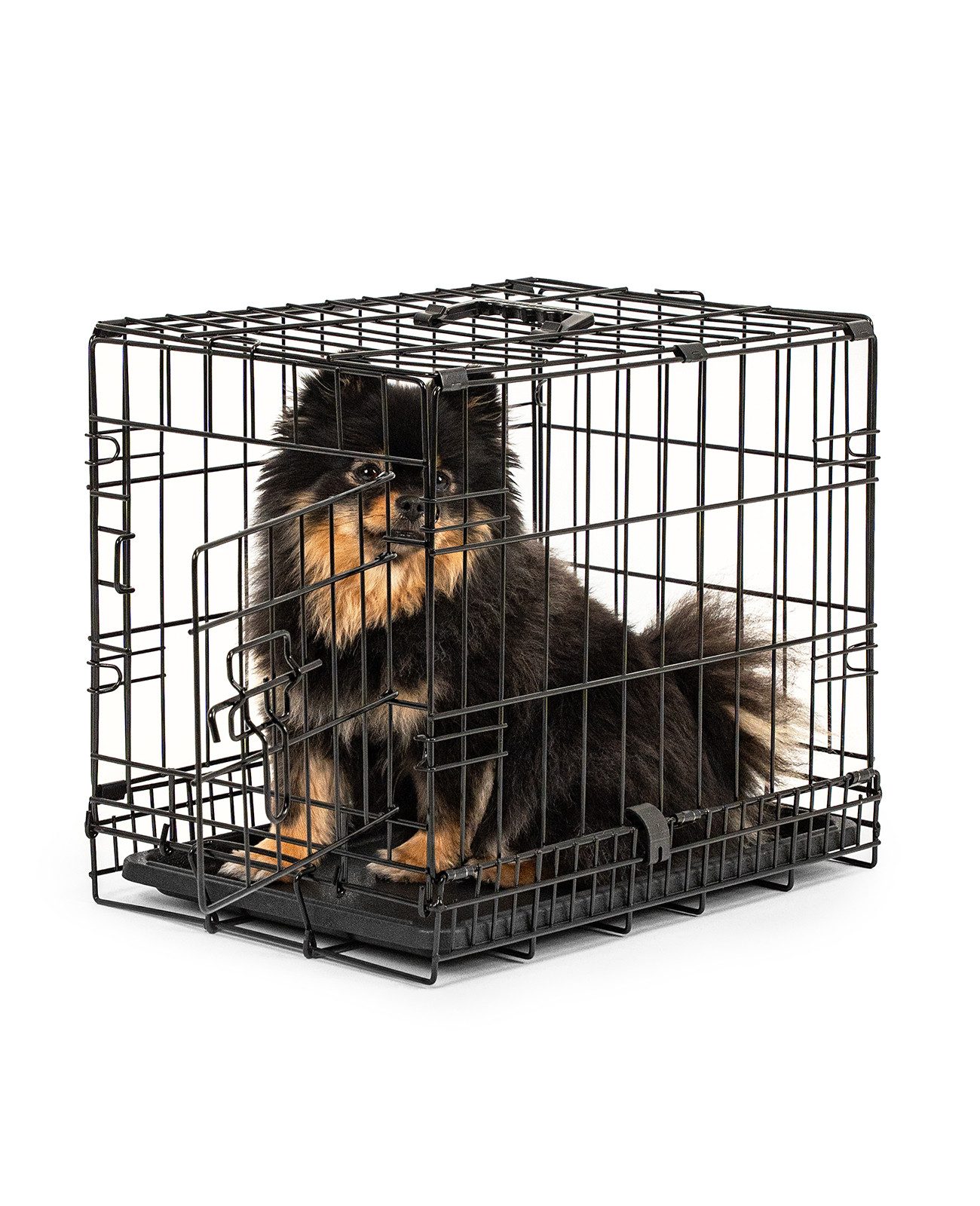 lionto Tiertransportbox faltbar mit Bodenwanne, 45x31x36 cm schwarz, hygienisch mit Trennwand & Sicherheitsverriegelung