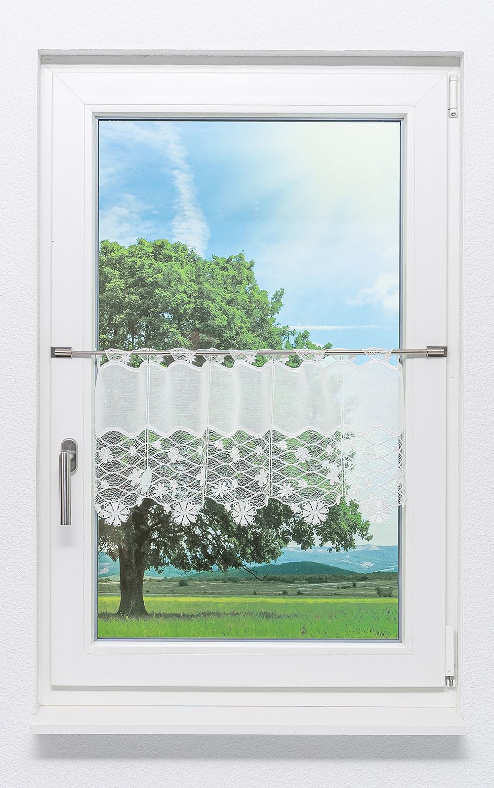 Plauener Spitze® Scheibengardine Blütenmeer (1 St), transparent, HxB 32x48c günstig online kaufen